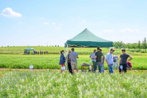 20190618_Feldtag_Ulrich_Wessollek-0424