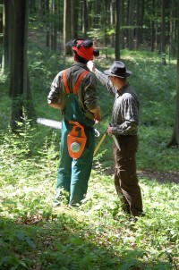 Förster und Waldarbeiter 3 (1)
